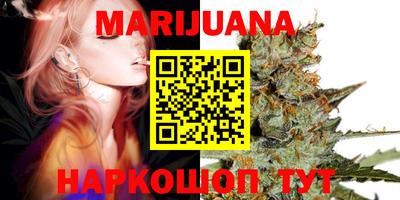 прущие грибы Ставрополь