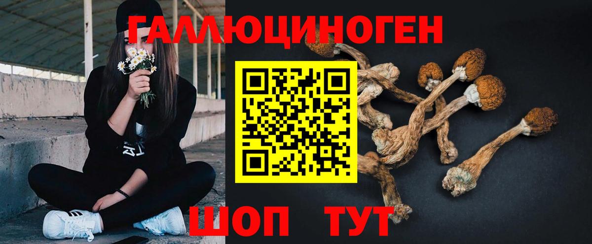 хочу   Галлюциногенные грибы ЛСД  Вход с VPN  Ачинск  Псилоцибиновые грибы прущие грибы 