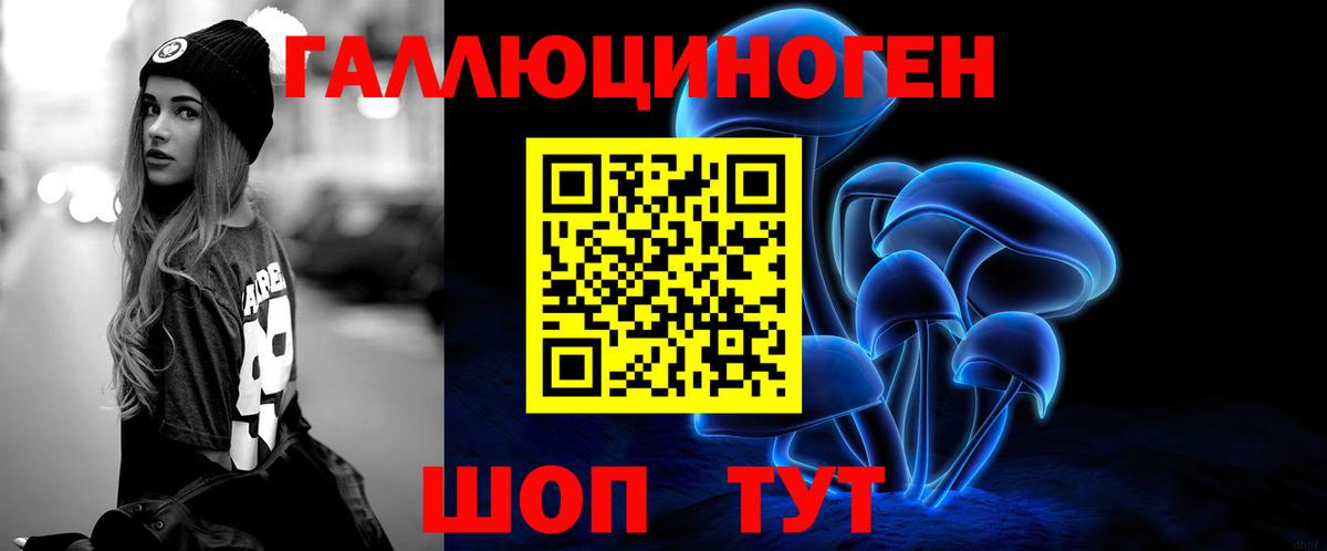 Псилоцибиновые грибы Psilocybine cubensis Ачинск